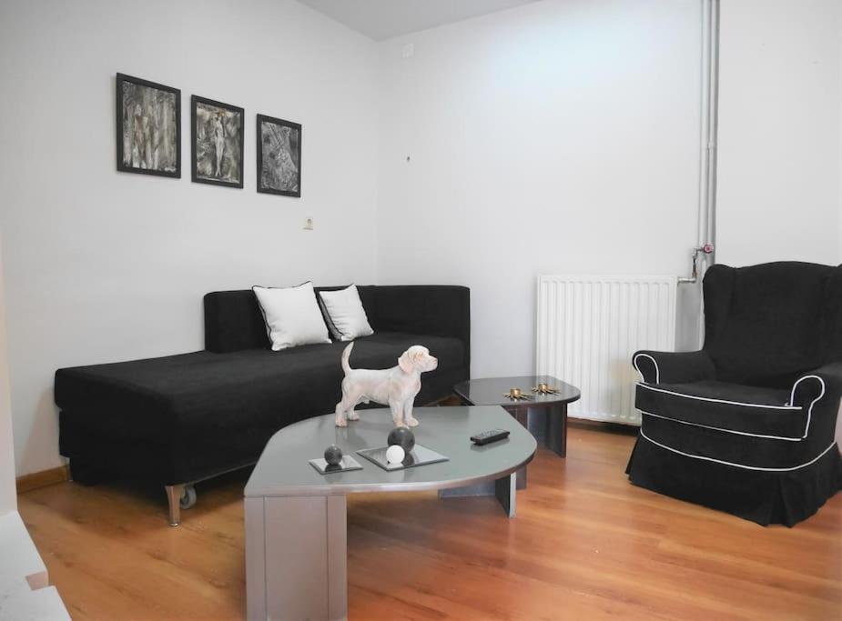 Cosy Apartment In The Heart Of City Centre Iráklio Kültér fotó